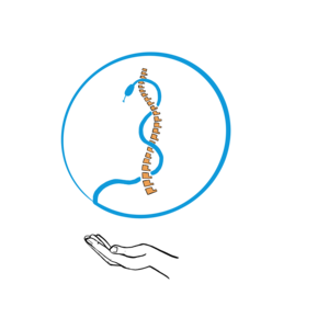 Rigel GENESTE  Billère, 